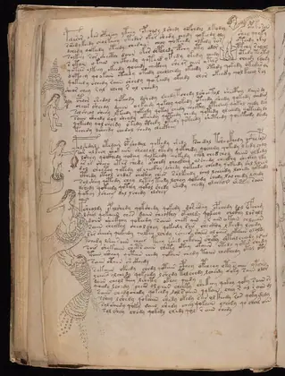 Folio 76v of the Voynich Manuscript