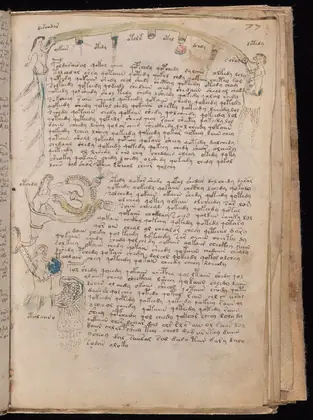 Folio 77r of the Voynich Manuscript