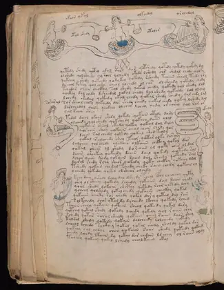 Folio 77v of the Voynich Manuscript