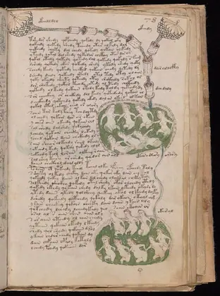 Folio 78r of the Voynich Manuscript