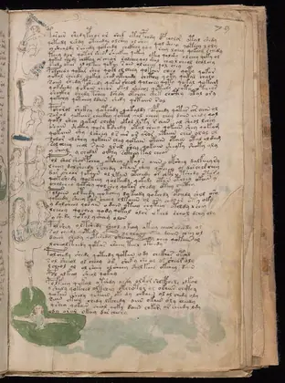 Folio 79r of the Voynich Manuscript