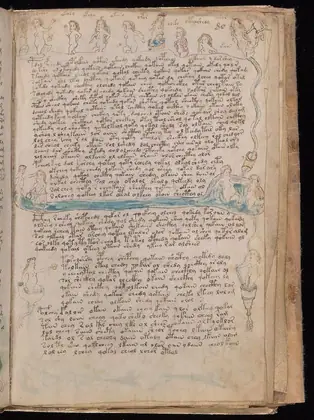 Folio 80r of the Voynich Manuscript
