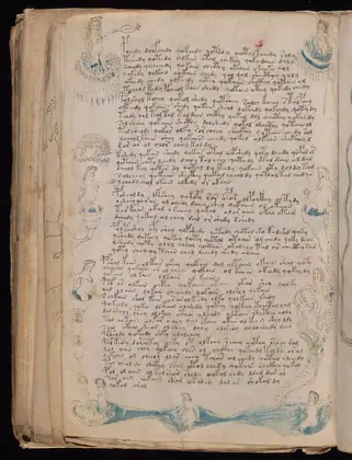 Folio 80v of the Voynich Manuscript