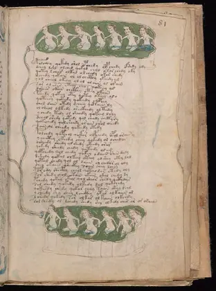 Folio 81r of the Voynich Manuscript