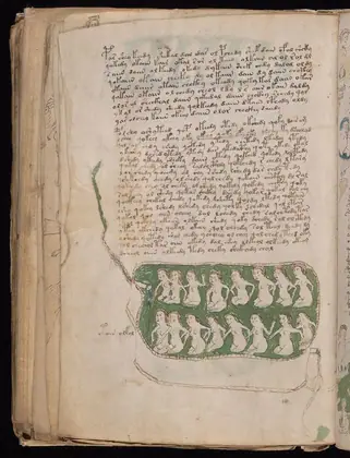 Folio 81v of the Voynich Manuscript