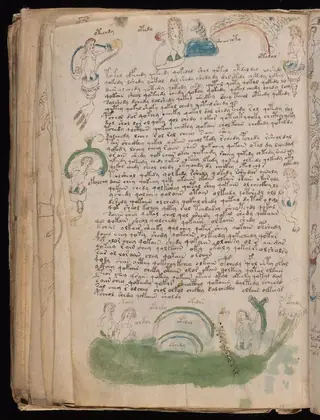 Folio 82v of the Voynich Manuscript
