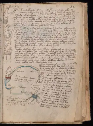 Folio 83r of the Voynich Manuscript