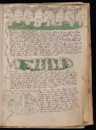Folio 84r of the Voynich Manuscript
