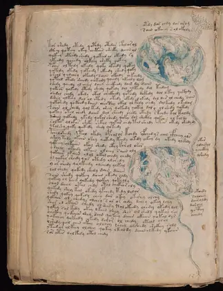 Folio 84v of the Voynich Manuscript
