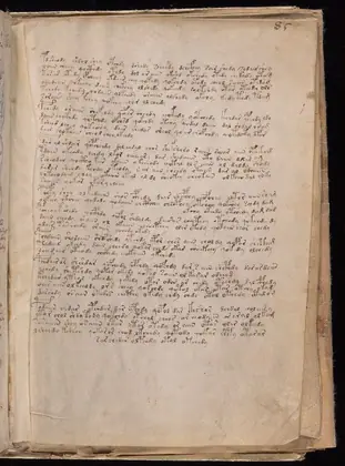 Folio 85r (part) (part of 85-86 foldout) of the Voynich Manuscript
