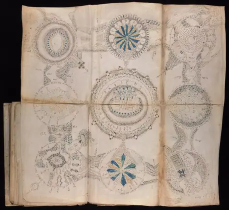 Folio 85v and 86r (foldout) of the Voynich Manuscript