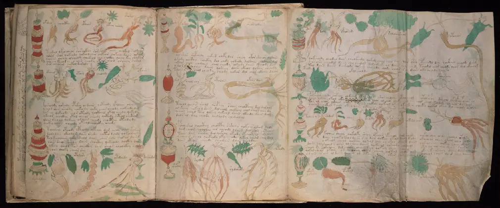 Folio 88v and 89r of the Voynich Manuscript