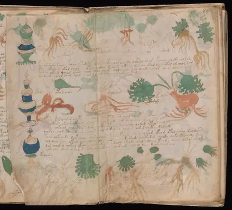 Folio 89v (part) of the Voynich Manuscript