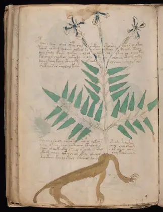 Folio 90v (part) of the Voynich Manuscript
