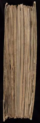 Fore-edge of the Voynich Manuscript