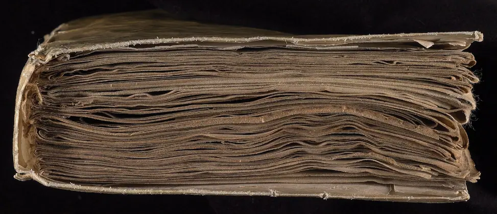 Head of the Voynich Manuscript
