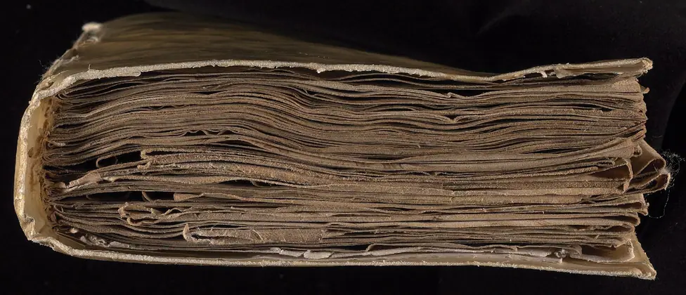 Tail of the Voynich Manuscript